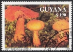 Sellos del Mundo : America : Guyana : SETAS-HONGOS: 1.162.035,01-Cortinarius callisteus -Phil.47640-Dm.991.220-Mch.3684-Sc.2467