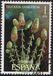 Sellos de Europa - Espa�a -  FLORA 1974. TEUCRIUM LANIGERUM