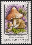 Sellos de Europa - Hungr�a -  SETAS-HONGOS: 1.164.013,01-Inocybe patouillardii -Phil.53461-Dm.986.74-Y&T.3083-Mch.3873-Sc.3048