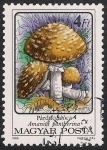 Stamps Hungary -  SETAS-HONGOS: 1.164.015,02-Amanita pantherina -Phil.47545-Dm.986.76-Y&T.3085-Mch.3875-Sc.3050