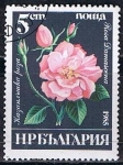 Sellos de Europa - Bulgaria -  Scott  3075  Rosa damascena (4)