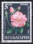 Sellos del Mundo : Europe : Bulgaria : Scott  3075  Rosa damascena (5)