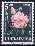 Sellos de Europa - Bulgaria -  Scott  3075  Rosa damascena (6)