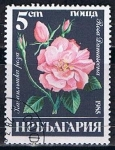 Sellos del Mundo : Europe : Bulgaria : Scott  3075  Rosa damascena (7)