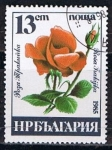 Sellos del Mundo : Europe : Bulgaria : Scott  3076  Rosa trakijka (2)