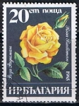 Stamps Bulgaria -  Scott  3077  Rosa radiman (2)