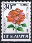 Sellos del Mundo : Europe : Bulgaria : Scott  3078  Rosa marista