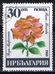 Sellos de Europa - Bulgaria -  Scott  3078  Rosa marista (5)