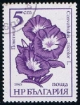 Sellos del Mundo : Europe : Bulgaria : Scott  3107  Flores (Convolvulus tricolor)