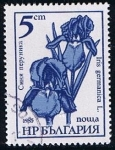 Sellos del Mundo : Europe : Bulgaria : Scott  3107  Flores (Convolvulus tricolor) (2)