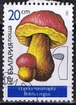 Stamps Bulgaria -  Scott  3233  Boletus regius (2)