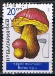 Sellos de Europa - Bulgaria -  Scott  3233  Boletus regius (3)