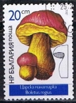 Sellos del Mundo : Europe : Bulgaria : Scott  3233  Boletus regius (6)