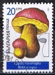 Stamps Bulgaria -  Scott  3233  Boletus regius (7)