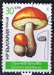 Sellos del Mundo : Europe : Bulgaria : Scott  3234  Leccinum aurantiacun