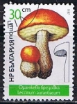 Sellos de Europa - Bulgaria -  Scott  3234  Leccinum aurantiacun (2)