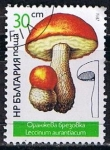 Stamps Bulgaria -  Scott  3234  Leccinum aurantiacun (3)