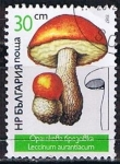 Sellos del Mundo : Europe : Bulgaria : Scott  3234  Leccinum aurantiacun (4)