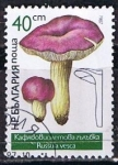 Sellos del Mundo : Europe : Bulgaria : Scott  3236  Russula vesca (4)