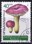 Stamps Bulgaria -  Scott  3236  Russula vesca (5)