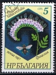 Sellos de Europa - Bulgaria -  Scott  3266  Phacelia tanacetifolia (4)