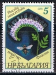 Stamps Bulgaria -  Scott  3266  Phacelia tanacetifolia (7)