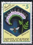 Sellos del Mundo : Europe : Bulgaria : Scott  3266  Phacelia tanacetifolia (8)