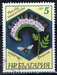 Sellos de Europa - Bulgaria -  Scott  3266  Phacelia tanacetifolia (9)