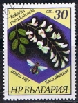 Sellos del Mundo : Europe : Bulgaria : Scott  3268  Robinia pseudoacacia