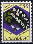 Stamps Bulgaria -  Scott  3268  Robinia pseudoacacia (6)