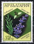 Stamps Bulgaria -  Scott  3269  Lavandura vera (3)