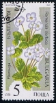 Sellos del Mundo : Europe : Bulgaria : Scott  3392  ramonda serbica