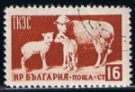 Stamps Bulgaria -  Ovejas