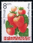 Sellos del Mundo : Europe : Bulgaria : Scott  2966  Fresas