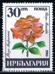 Stamps Bulgaria -  Scott  3078  Rosa marista