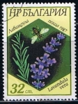 Sellos de Europa - Bulgaria -  Scott  3269  Lavandura vera