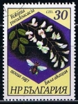 Sellos del Mundo : Europe : Bulgaria : Scott  3268  Robinia pseudoacacia