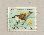 Stamps Australia -  Ave cola amarilla de espina