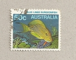 Stamps Australia -  Pez cirujano azulado