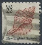 Stamps United States -  Caracola de mar