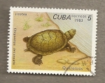 Sellos de America - Cuba -  Tortugas