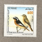 Stamps Tunisia -  Pájaro cola roja de Moussier