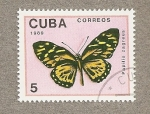 Stamps Cuba -  Mariposa