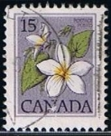 Sellos de America - Canad� -  Flor