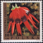 Stamps Poland -  FLORES. GLORIA (CLIANTHUS DAMPIERI)