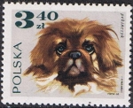 Sellos de Europa - Polonia -  PERROS. PEKINÉS