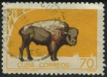 Stamps Cuba -  Bisonte