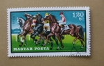 Stamps : Europe : Hungary :  Carrera Caballos.
