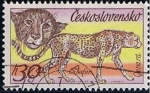 Stamps Czechoslovakia -  Safari Pntera