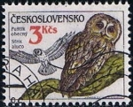 Stamps Czechoslovakia -  Scott  2622  Strix aluco